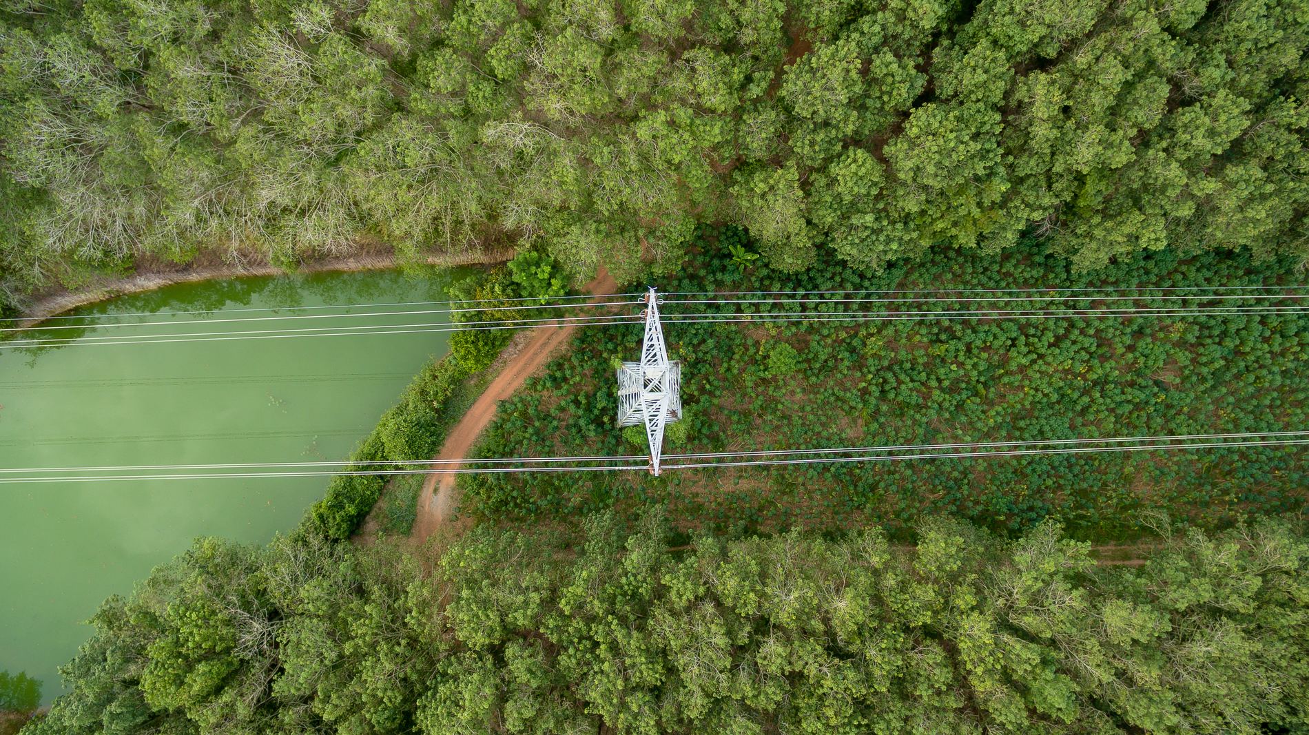 Aerial view of a transmission line crossing forest and water